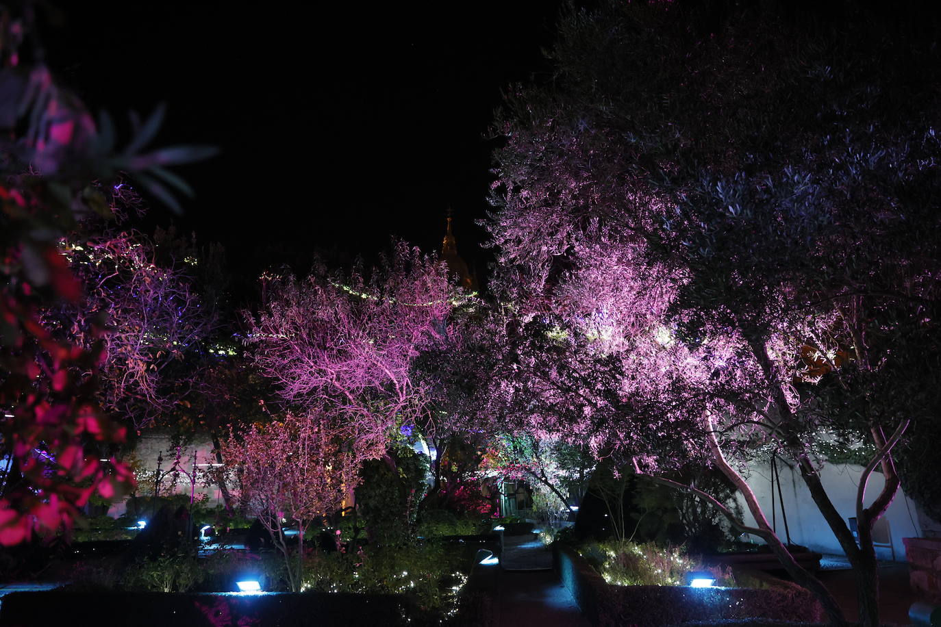 El encanto de la Navidad recala en Salamanca: el jardín mágico del Huerto, en imágenes