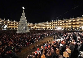 Sigue en directo el encendido del árbol de Navidad de la Plaza Mayor