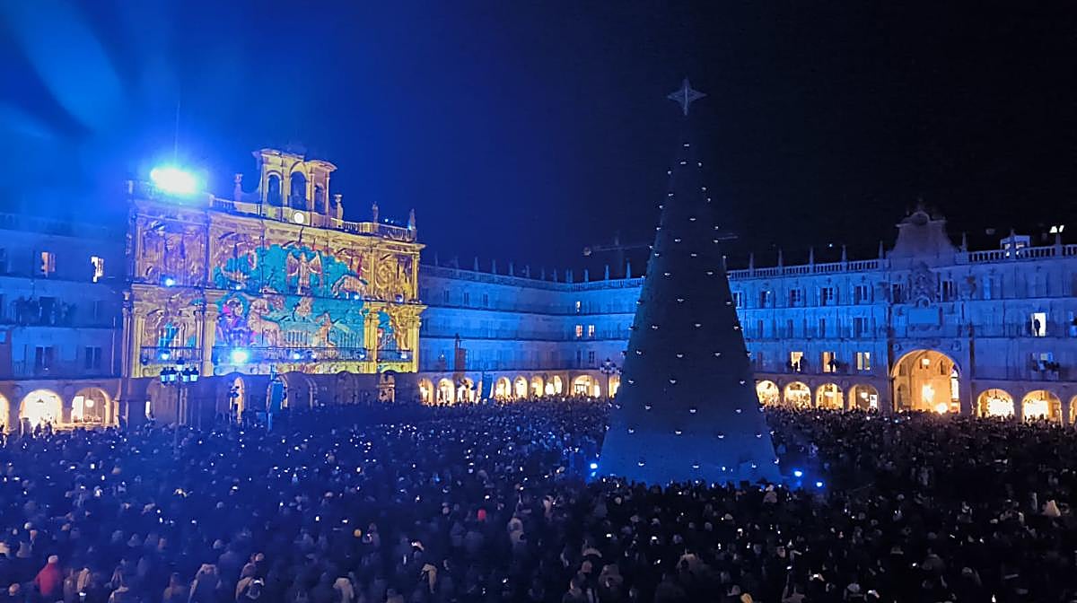 Ya es Navidad en Salamanca: así fue el espectacular encendido del árbol de la Plaza Mayor