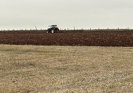 Los agricultores aprovechan la ausencia de lluvias para preparar las tierras.