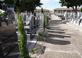 Parque Cementerio ha ejecutado alrededor de 300 metros lineales de nuevas jardineras en varias calles.