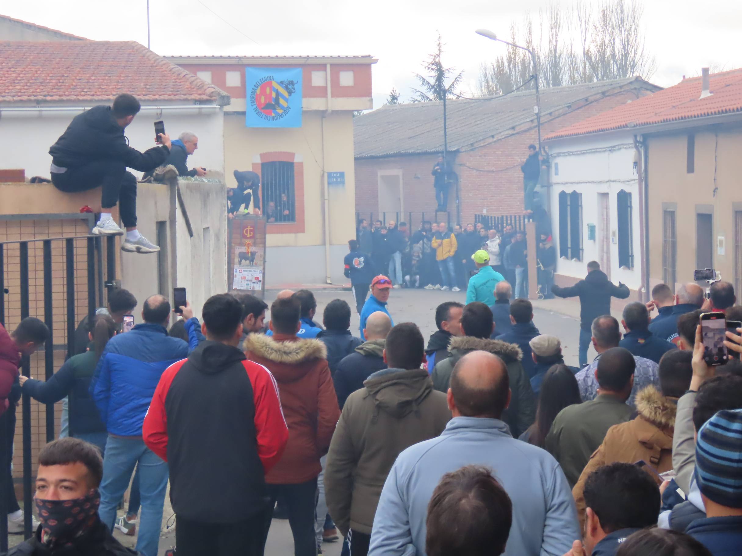 El Toro de San Andrés llena las calles de Palaciosrubios