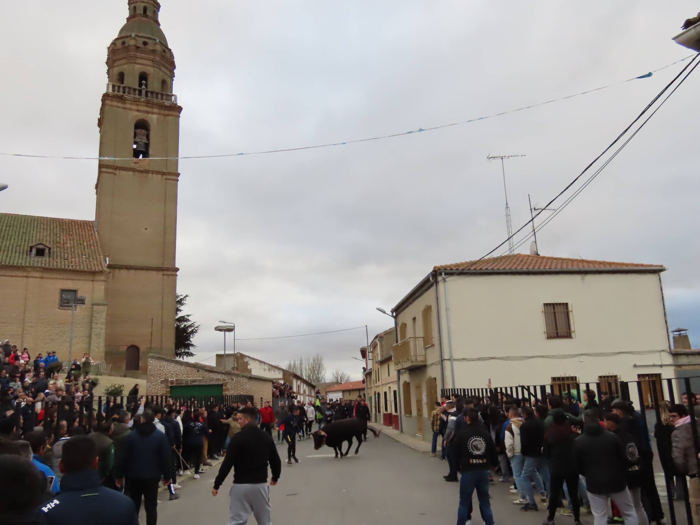 El Toro de San Andrés llena las calles de Palaciosrubios