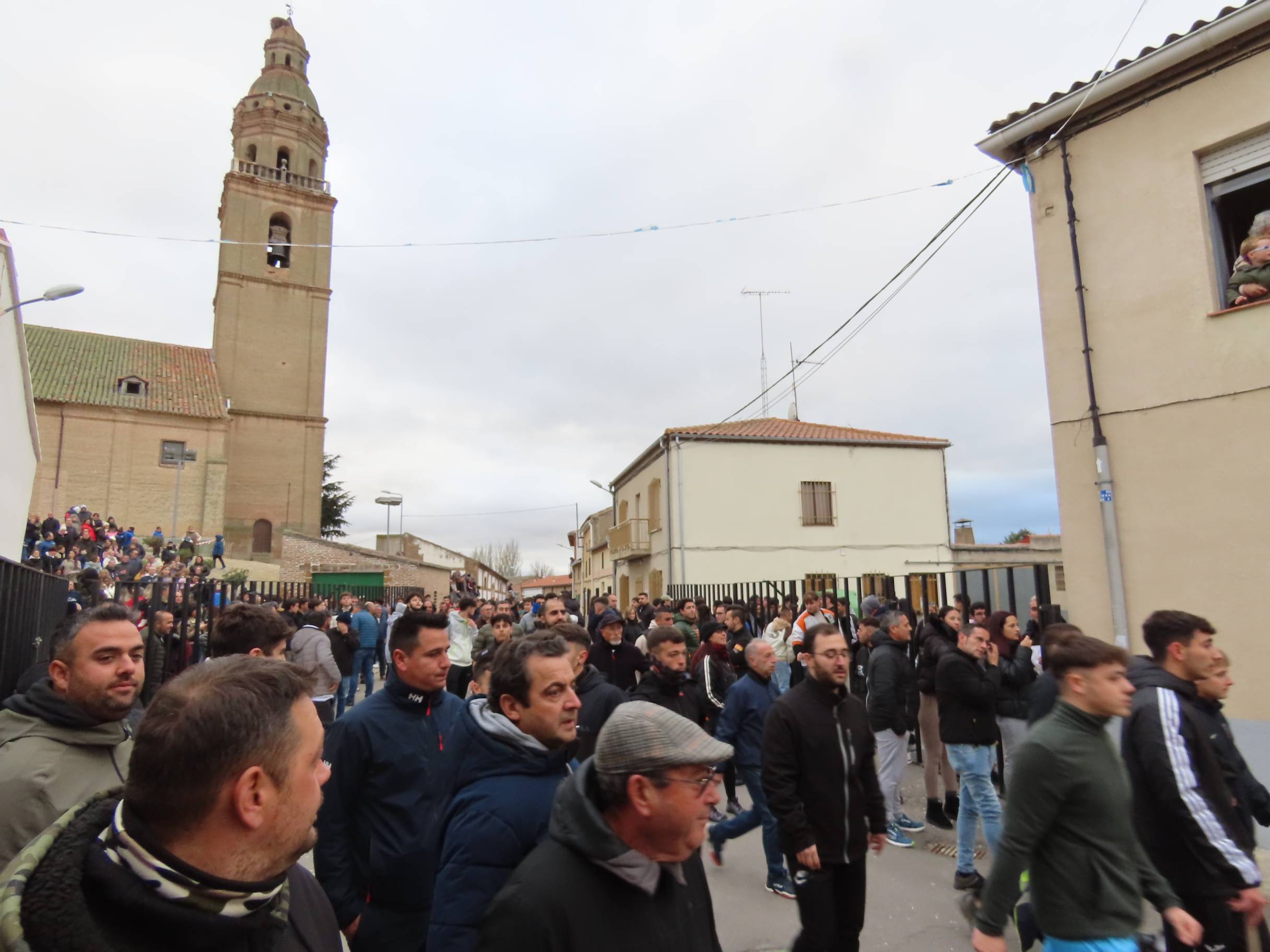 El Toro de San Andrés llena las calles de Palaciosrubios