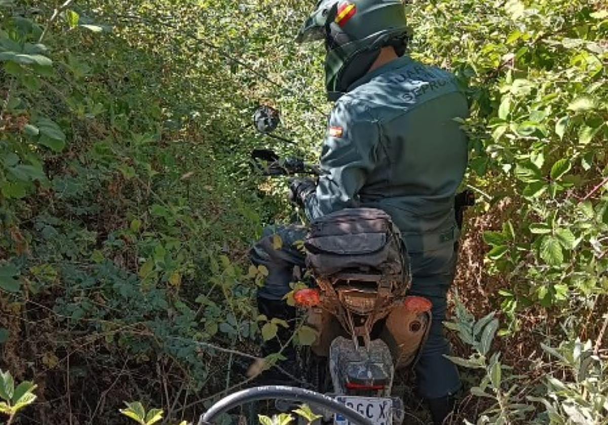 Un agente del Seprona.