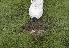 Petróleo en La Salud