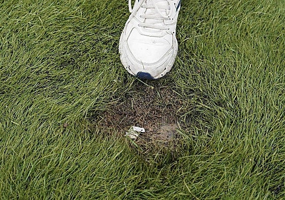 Petróleo en La Salud