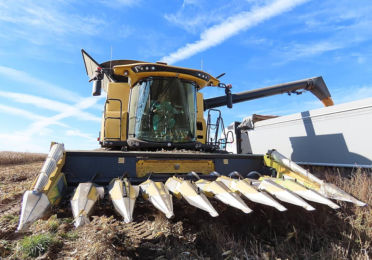 Alberto Lozano carga un camión con maíz en una parcela de El Campo de Peñaranda.