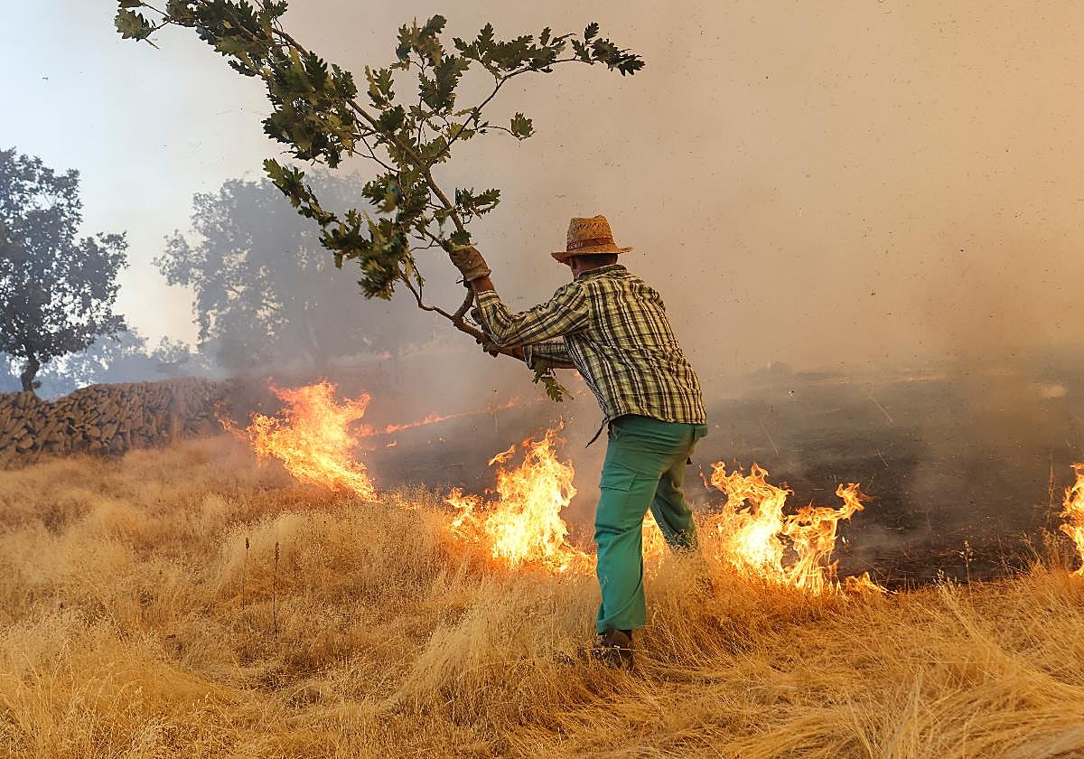 Un agricultor trata de frenar las llamas en Cipérez.