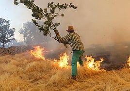 Un agricultor trata de frenar las llamas en Cipérez.