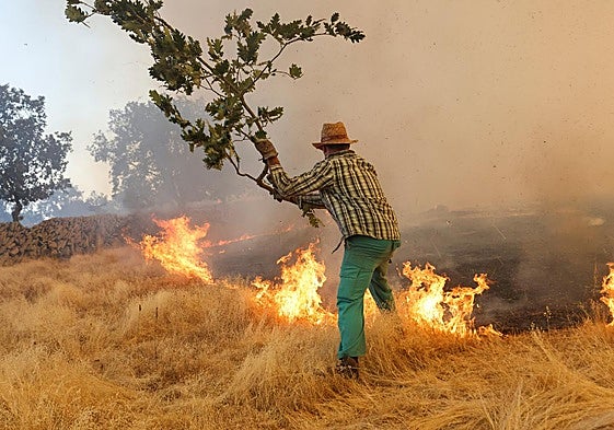 Un agricultor trata de frenar las llamas en Cipérez.