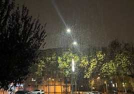 La nieve llega a Salamanca