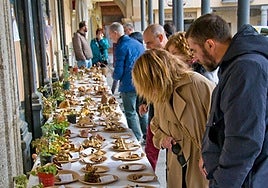 Exposición de setas durante las Jornadas Micológicas del 2023.
