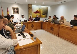 Concejales durante el pleno celebrado en Peñaranda.