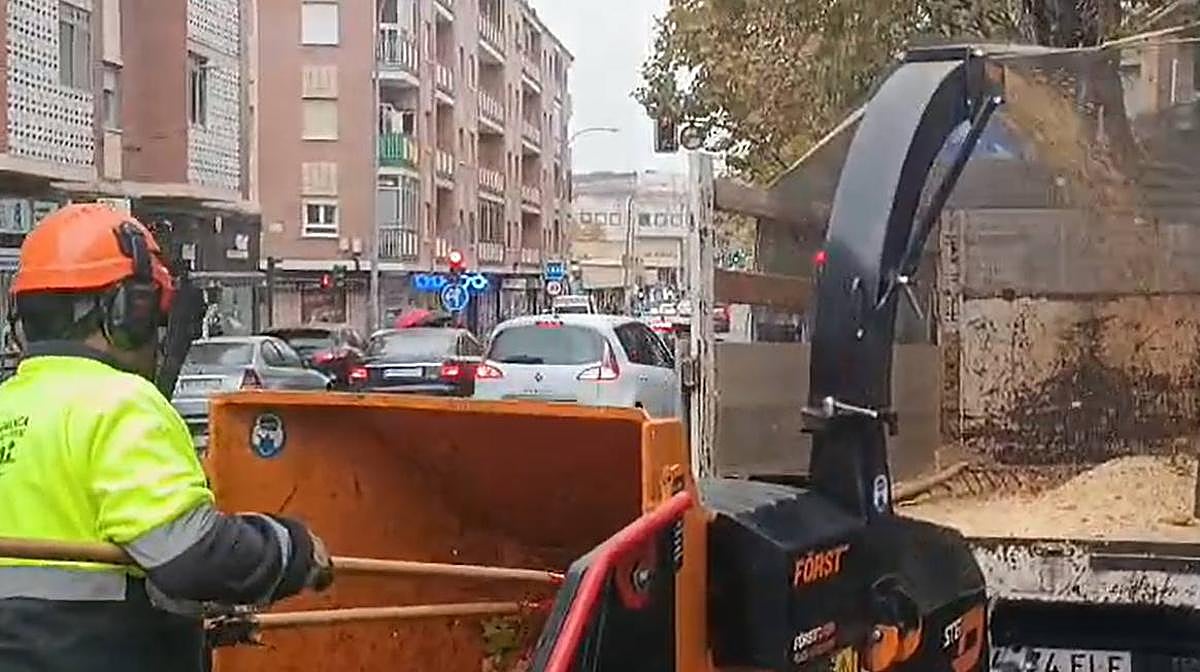 La lluvia no puede con las labores de poda