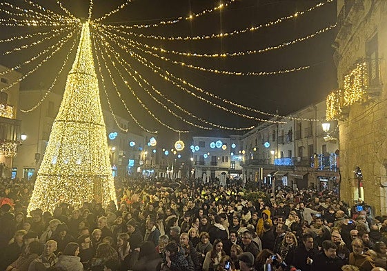 El gran pino es uno de los atractivos de la iluminación navideña