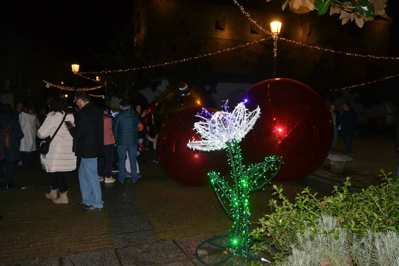 Ciudad Rodrigo, la estrella que ilumina el oeste salmantino