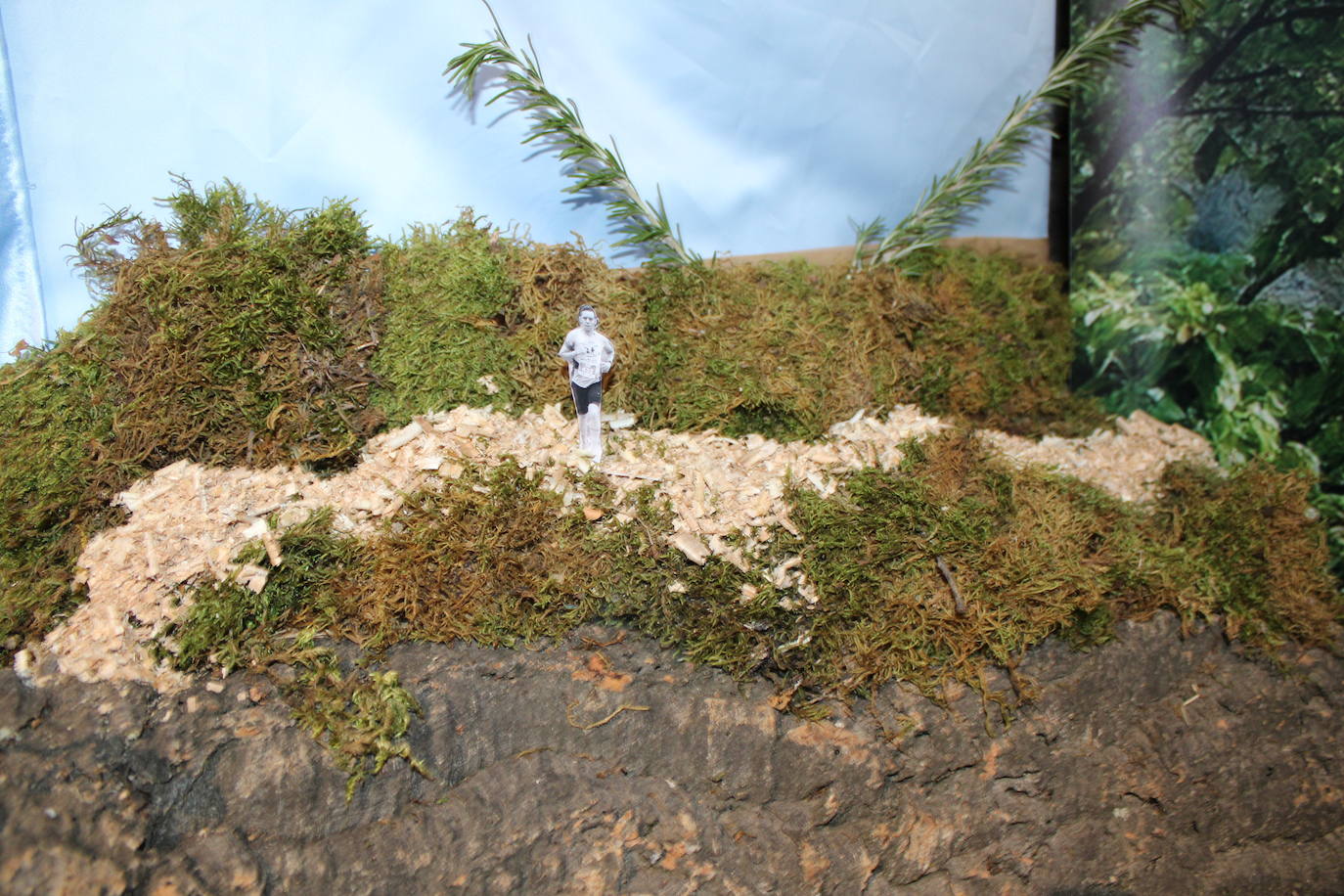 Béjar abre su muestra solidaria de belenes