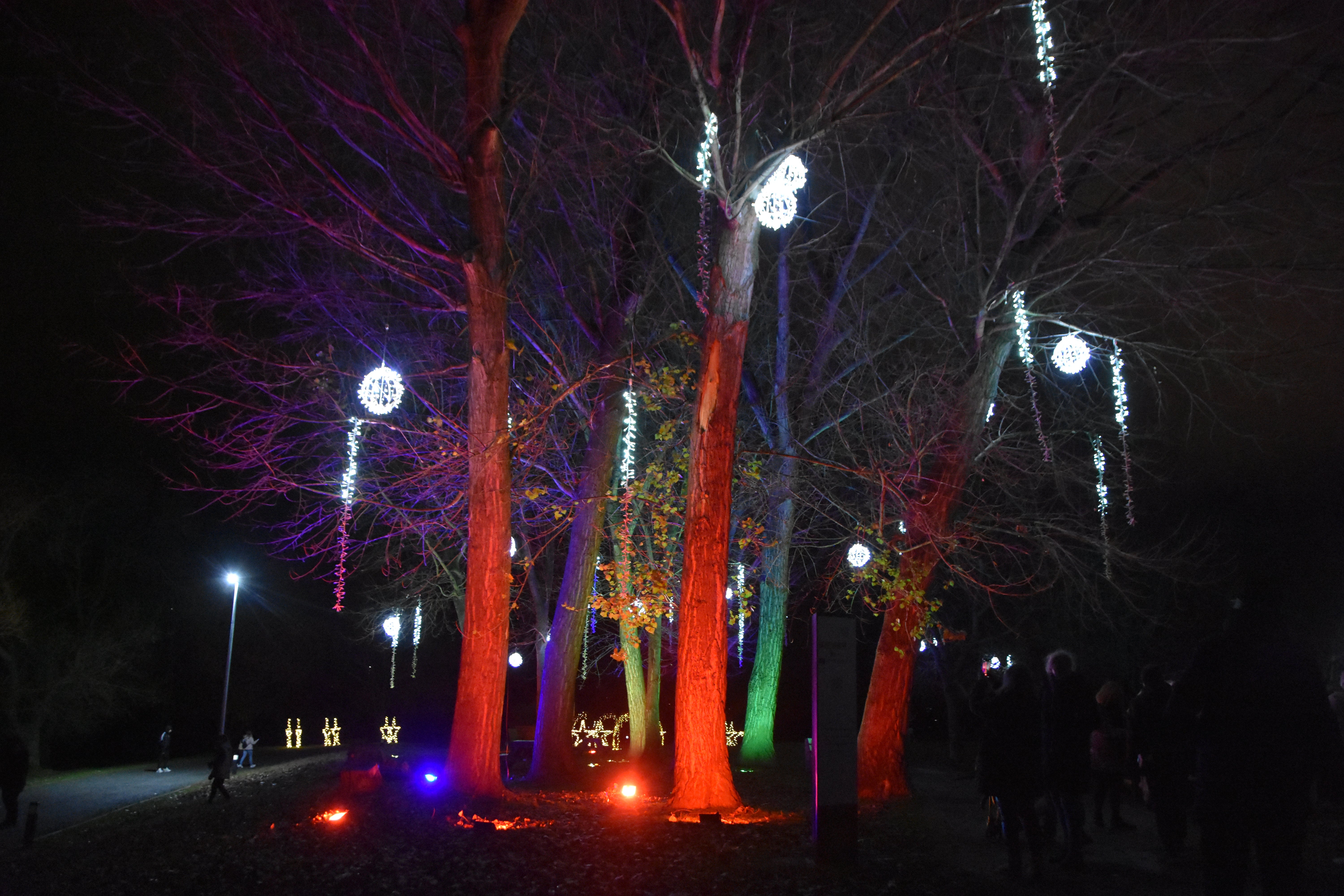 Navidades de magia y ensueño en Santa Marta