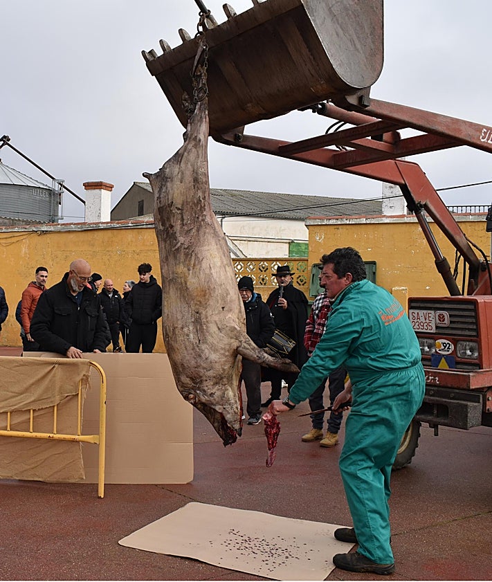 Imagen secundaria 2 - La Maya disfruta de los sabores del cerdo