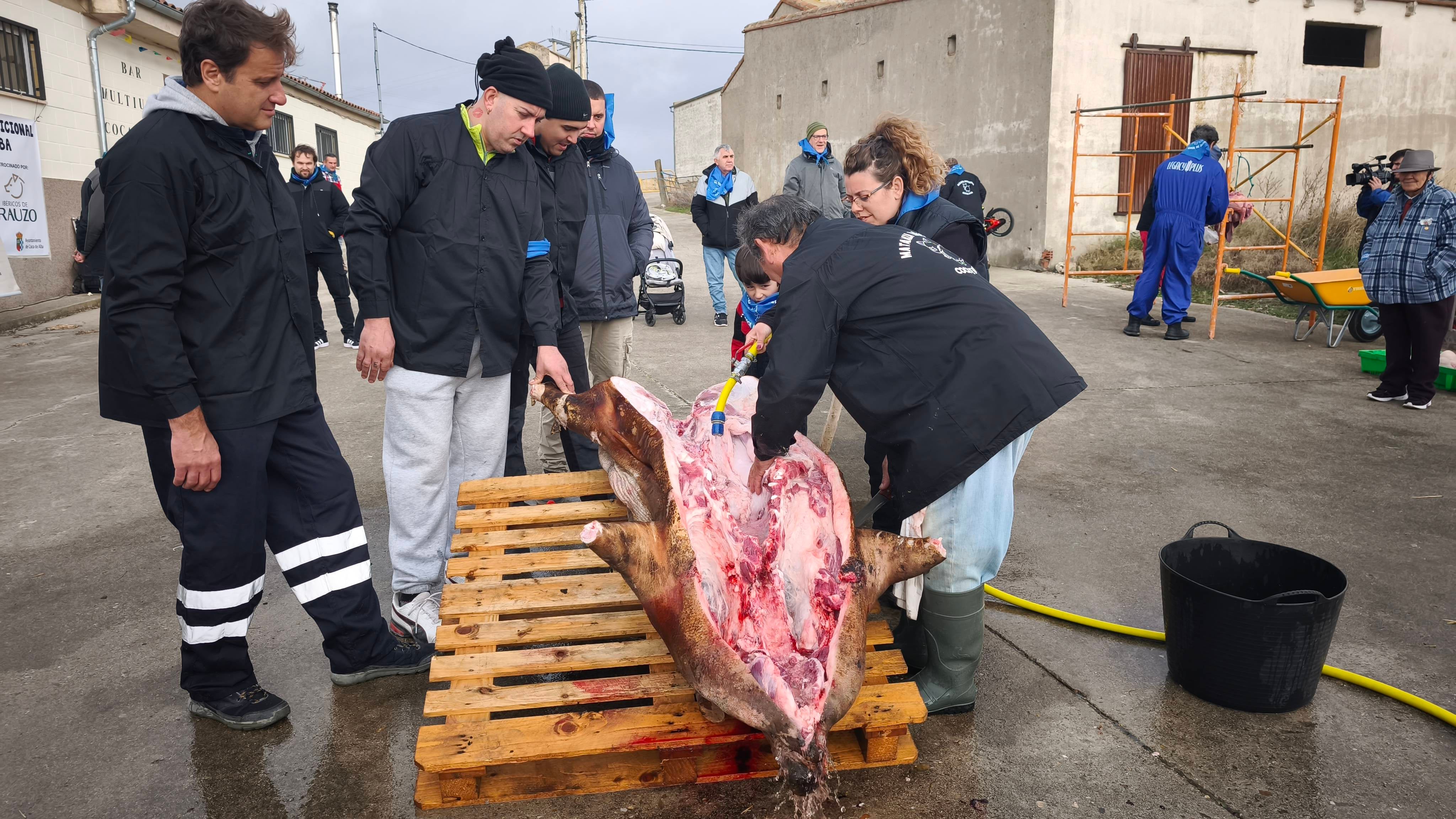 Homenaje a los más sabios en Coca de Alba