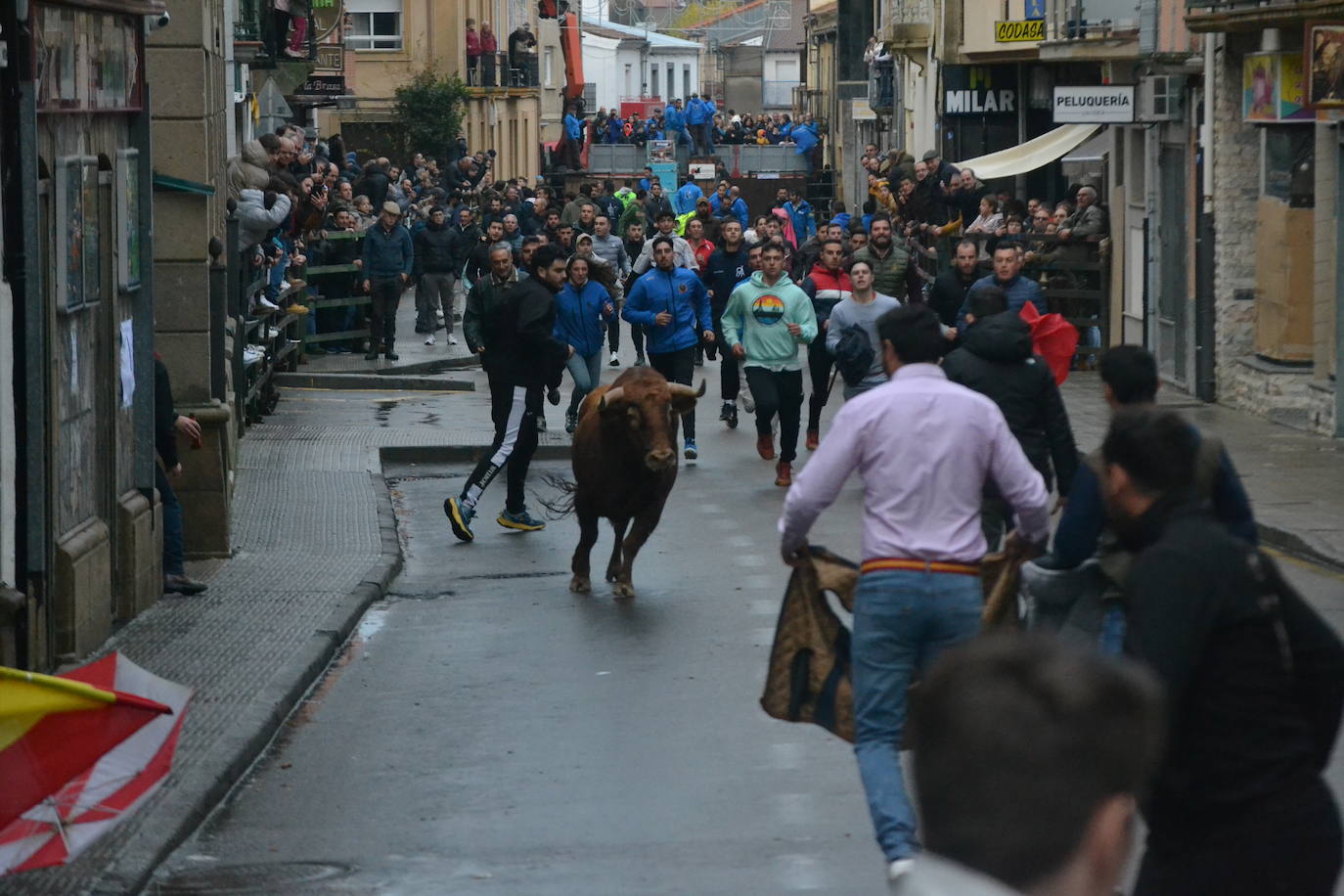 Vitigudino cierra el año taurino con un vibrante Toro de San Nicolás