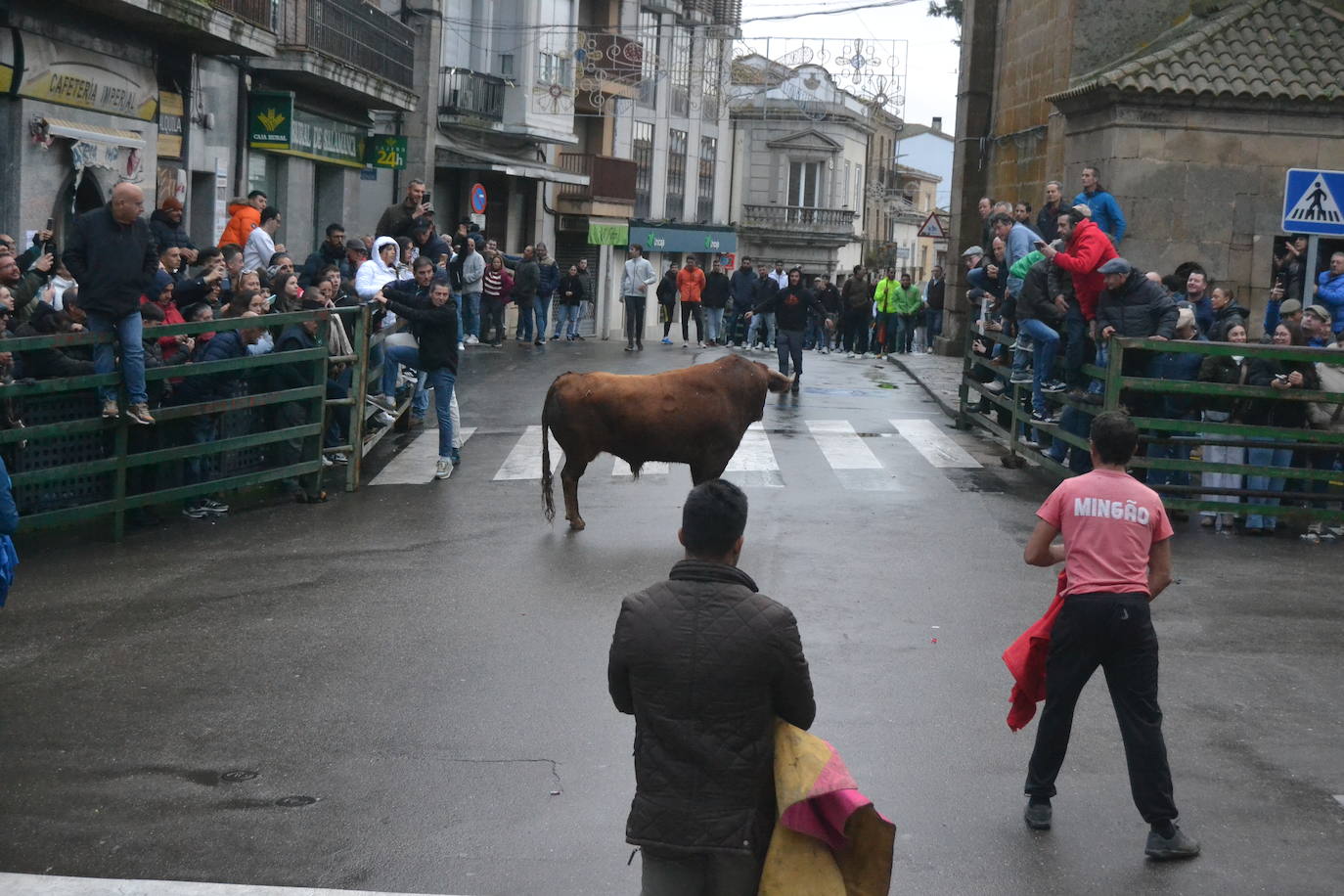 Vitigudino cierra el año taurino con un vibrante Toro de San Nicolás