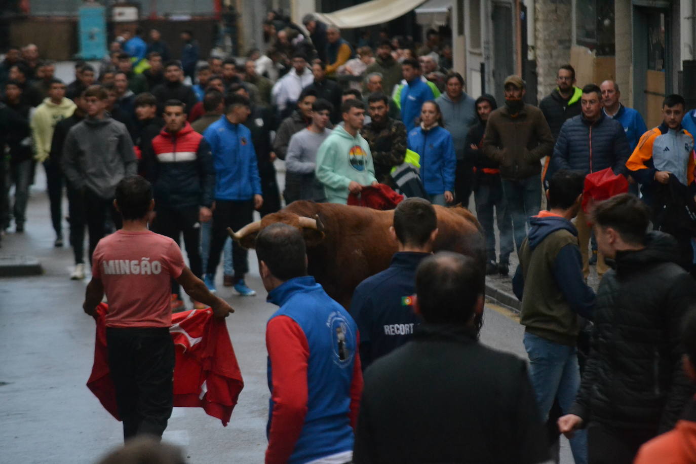 Vitigudino cierra el año taurino con un vibrante Toro de San Nicolás