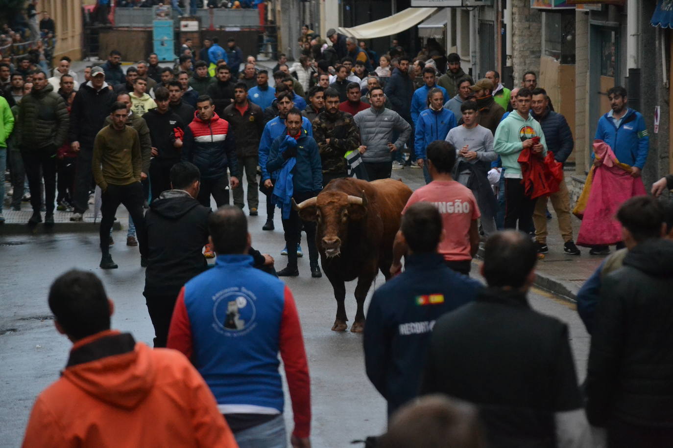 Vitigudino cierra el año taurino con un vibrante Toro de San Nicolás