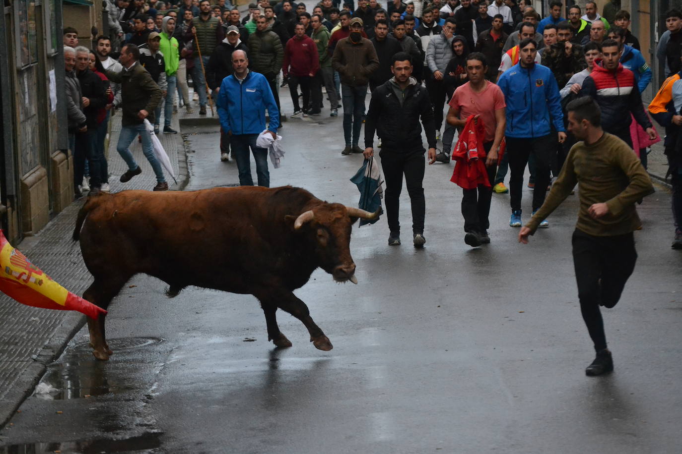 Vitigudino cierra el año taurino con un vibrante Toro de San Nicolás
