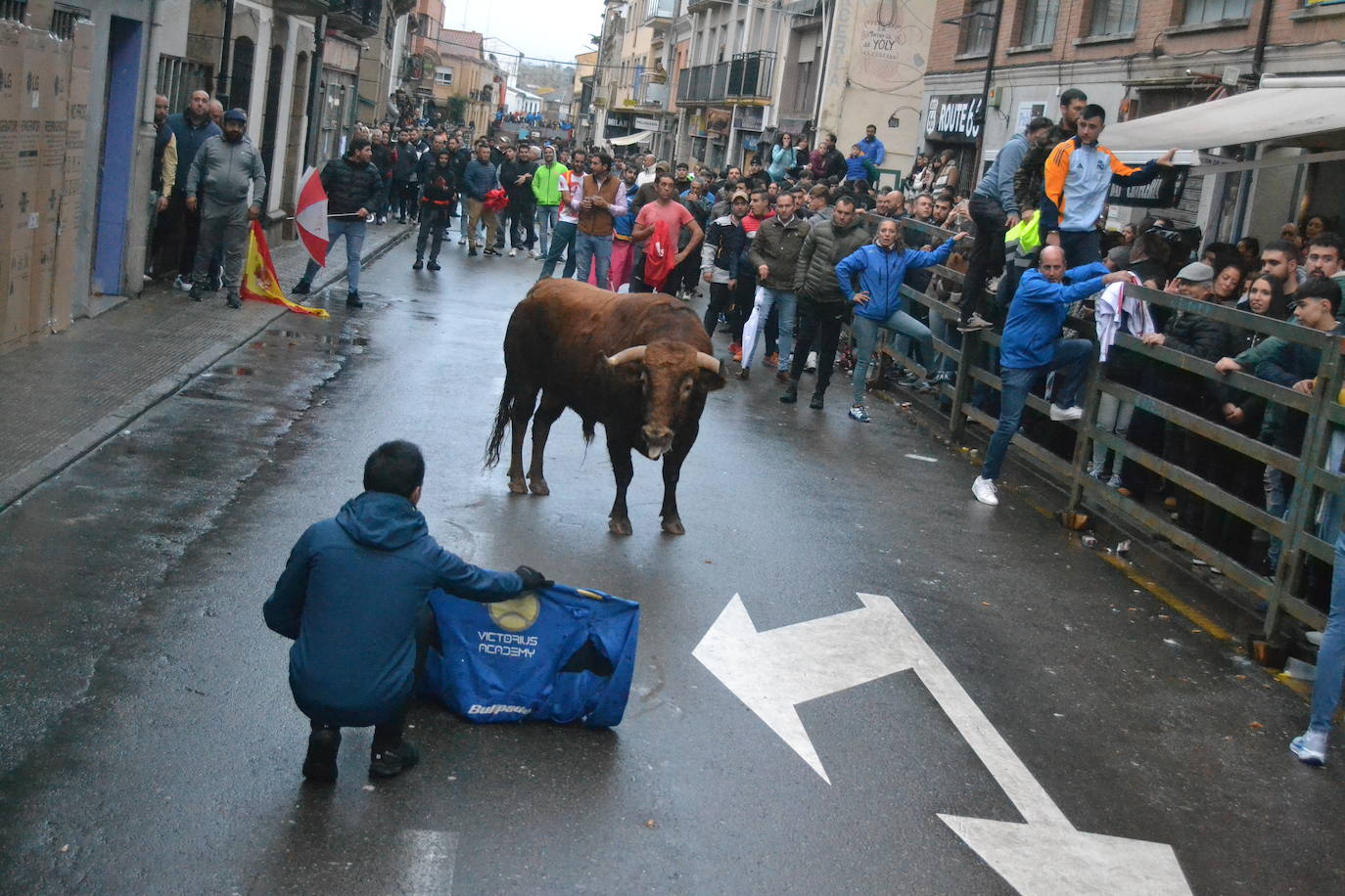 Vitigudino cierra el año taurino con un vibrante Toro de San Nicolás