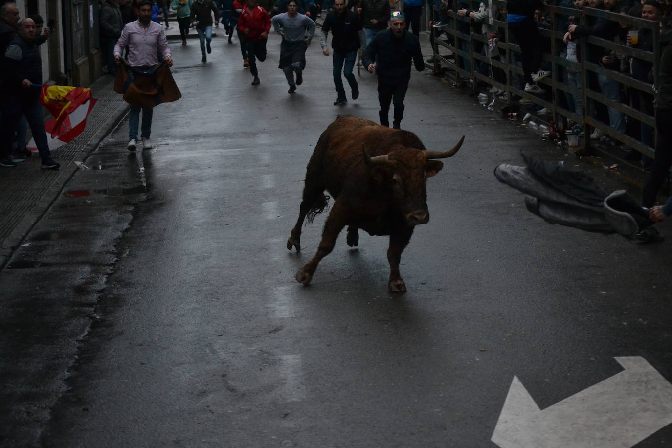 Vitigudino cierra el año taurino con un vibrante Toro de San Nicolás