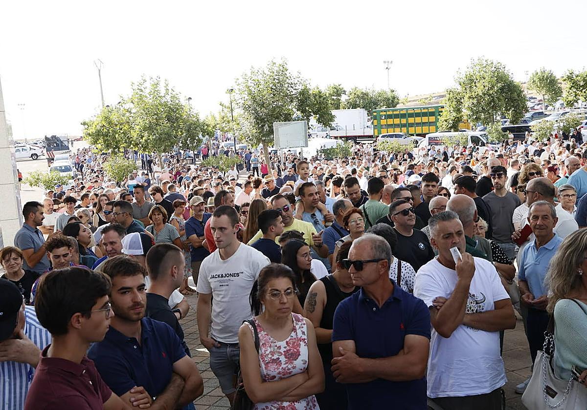 Salamaq rompe récords de visitantes con un sábado histórico