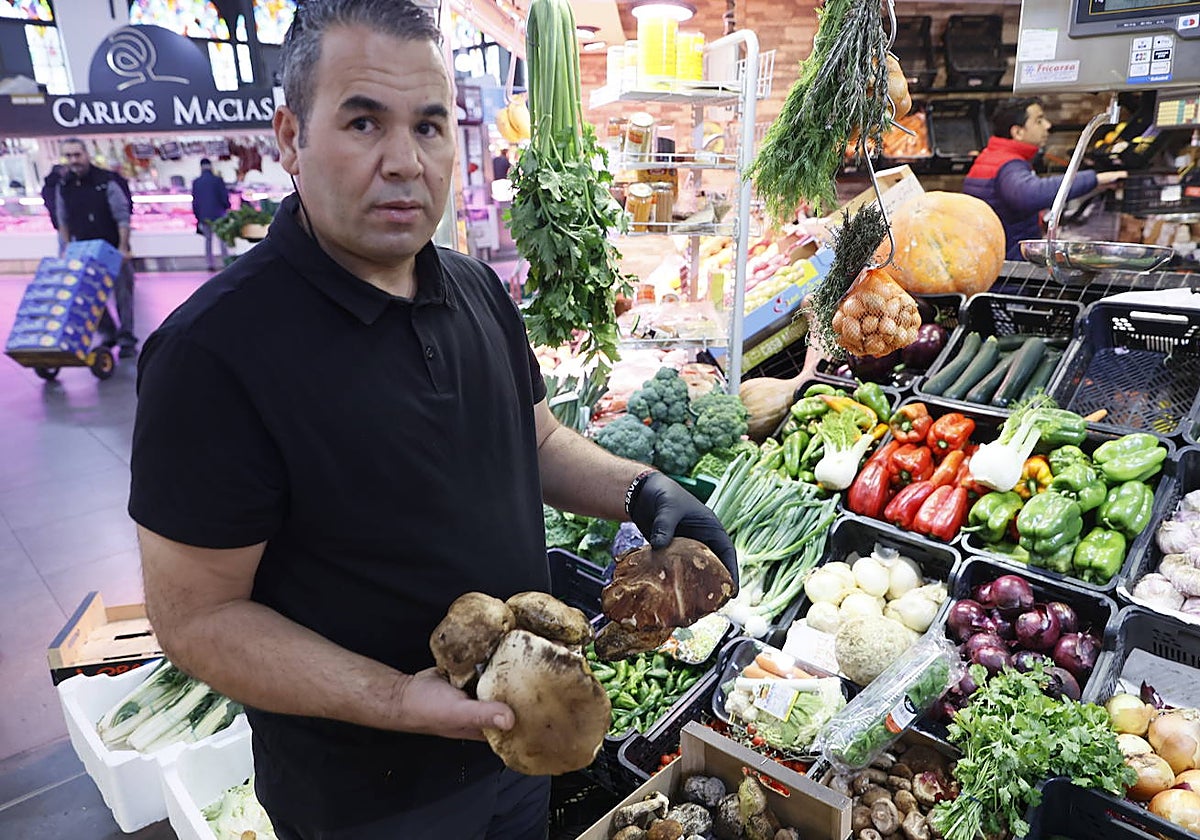 Las setas tardan en llegar al mercado