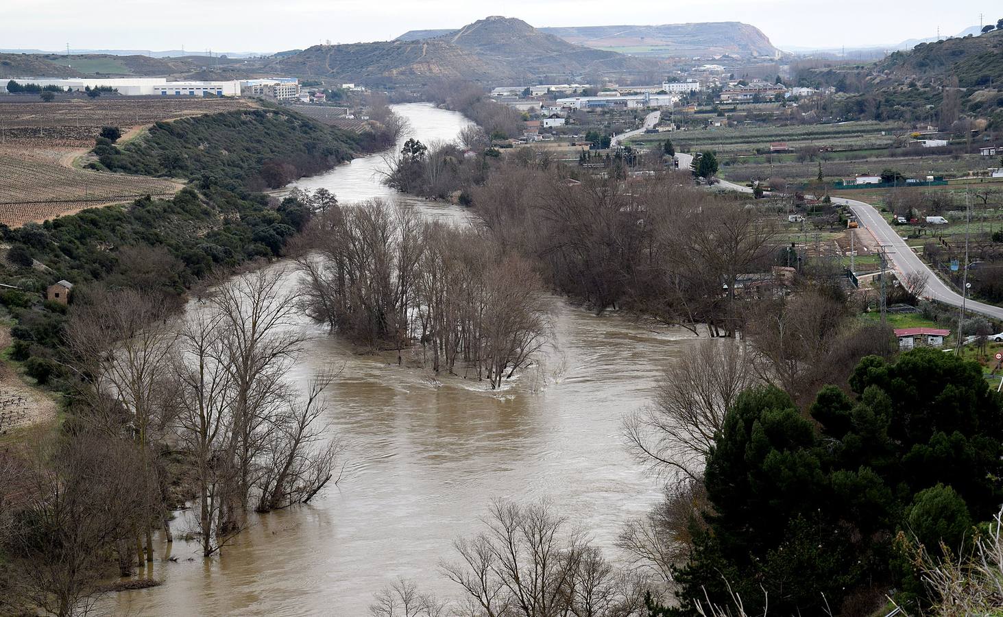 Soto inundado entre Logroño y El Cortijo