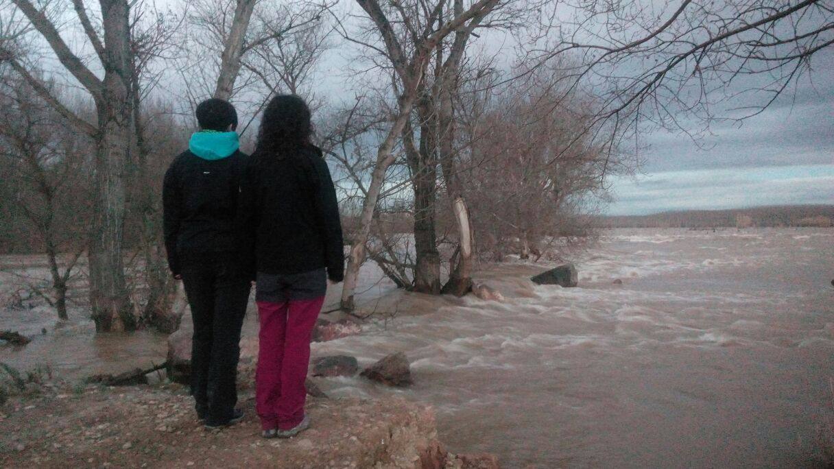 El Ebro se ha adueñado de todo a su paso por el campo