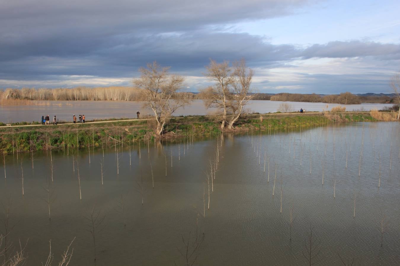 Loscuriosos acuden a ver los campos en Alfaro