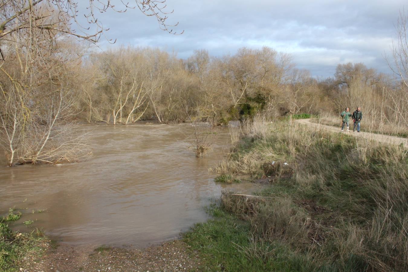 Orilla del río.