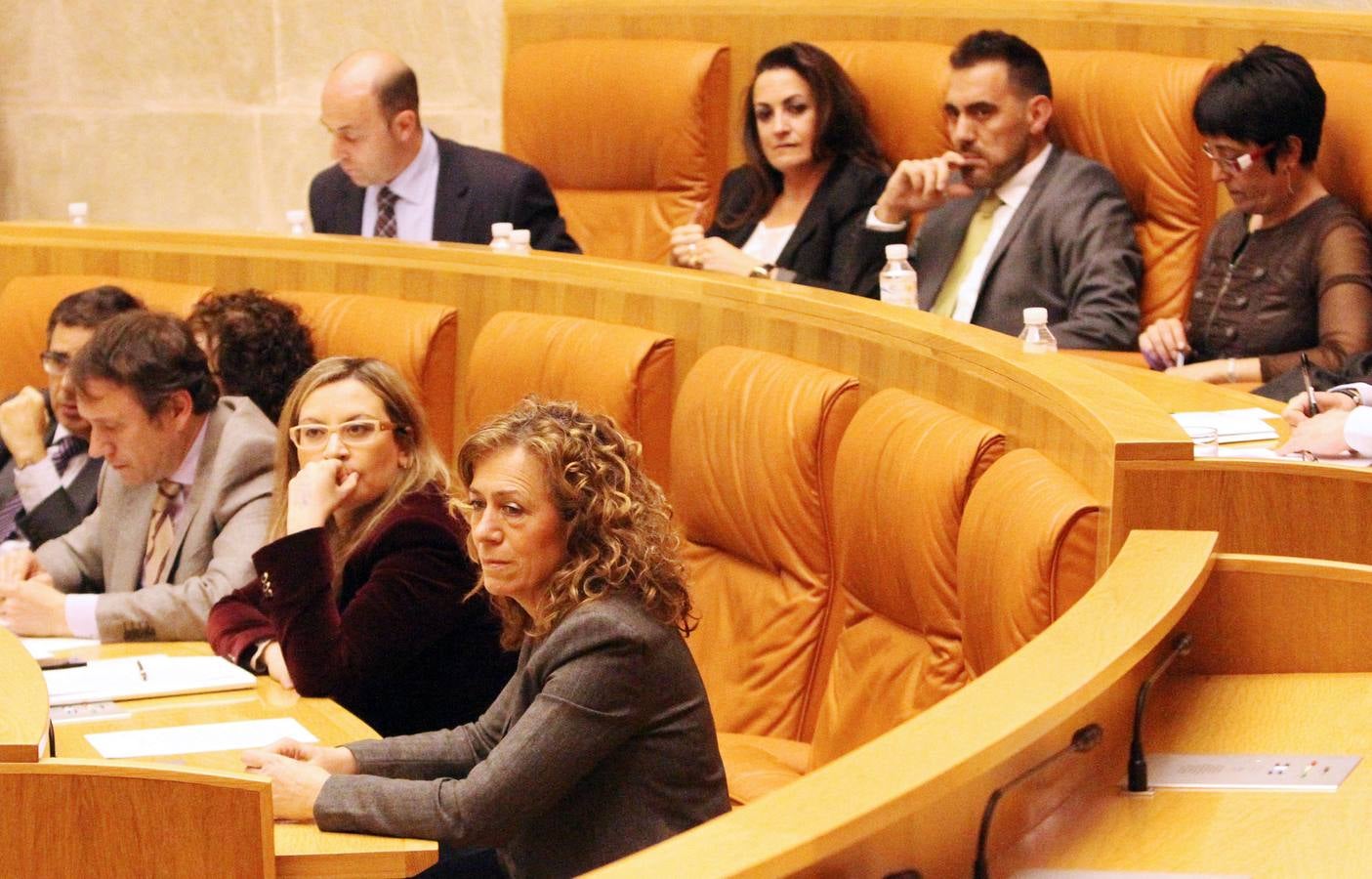 El pleno del Parlamento gira en torno a la AP-68, los Servicios Sociales y los municipios
