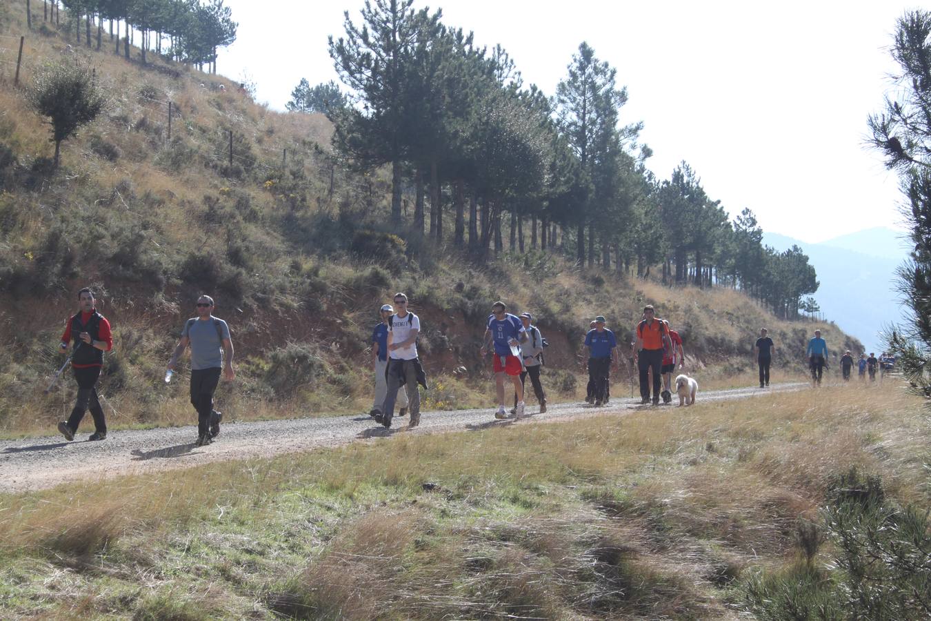 Arnedanos y visitantes participan en la marcha a Isasa