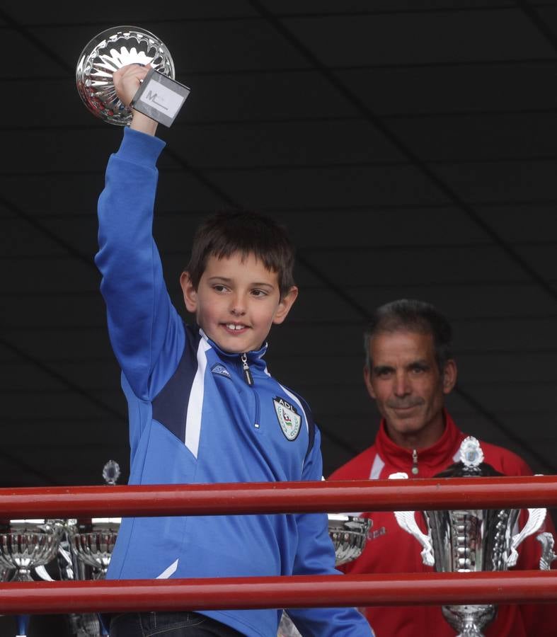 Pequeños profesionales