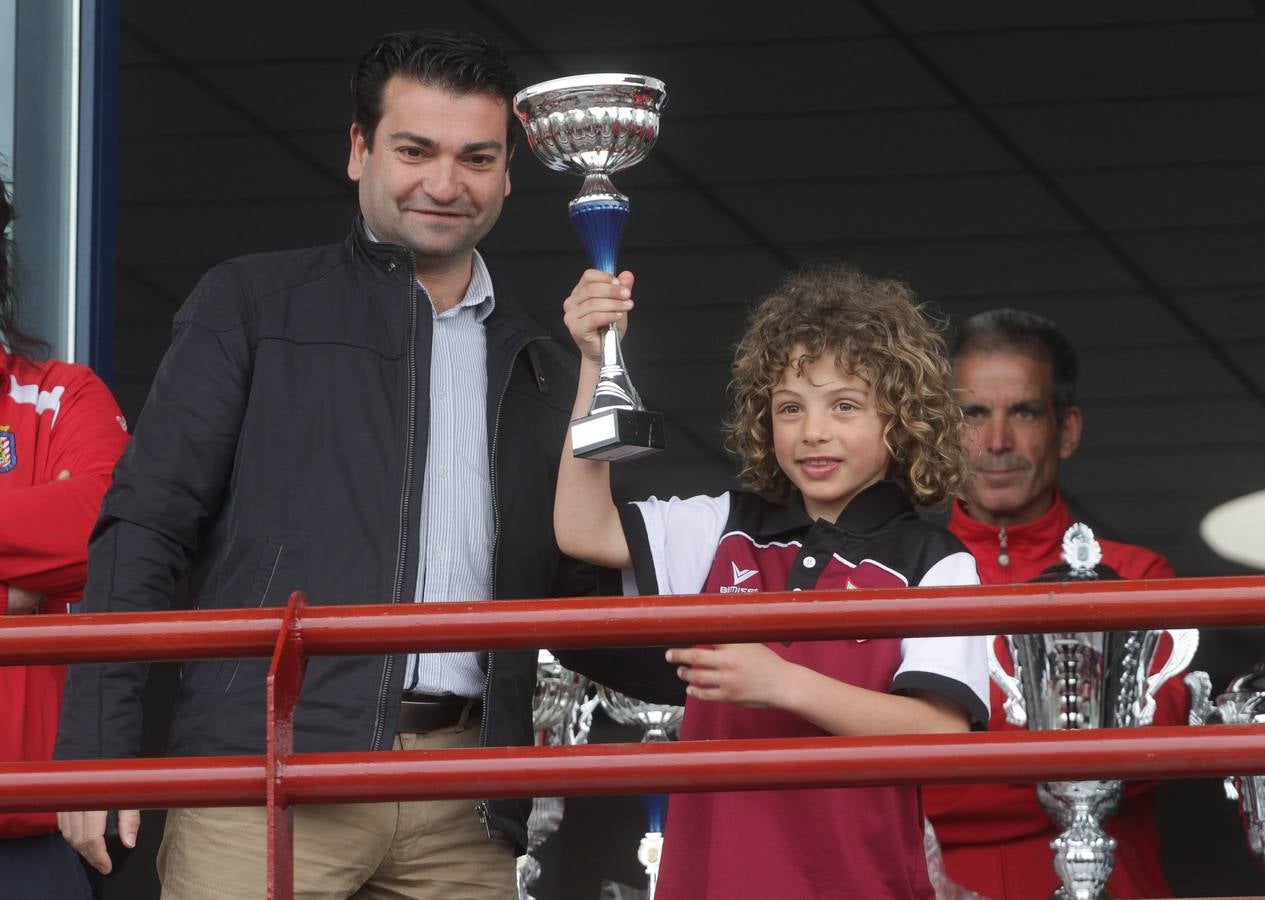 Pequeños profesionales