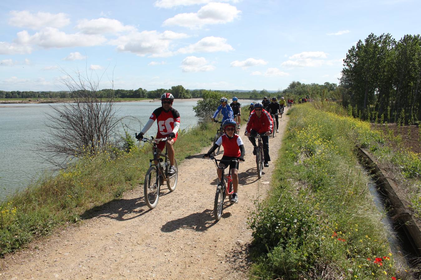 Día de la bicicleta en Alfaro