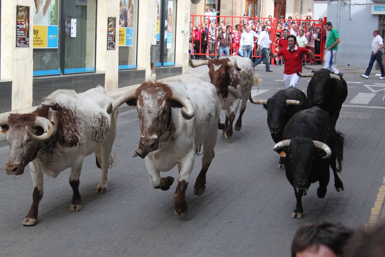 Alfaro despide las Fiestas de la Primavera