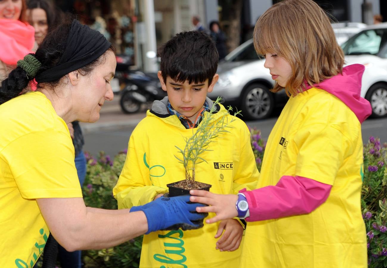 Escolares del Colegio Salesianos Los Boscos siembran la &#039;Planta de la Ilusión&#039;