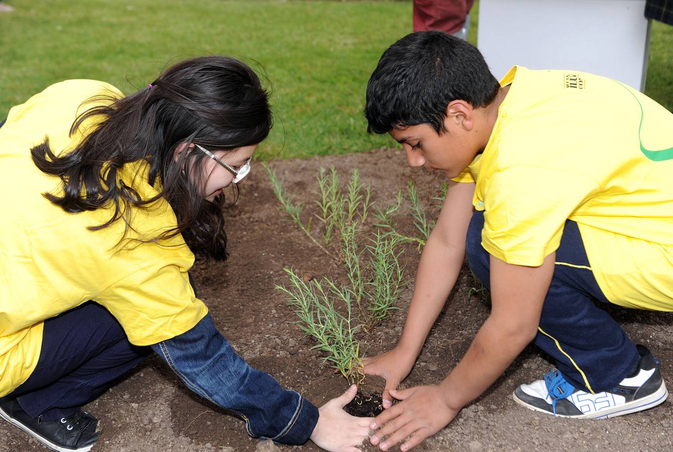 Escolares del Colegio Salesianos Los Boscos siembran la &#039;Planta de la Ilusión&#039;