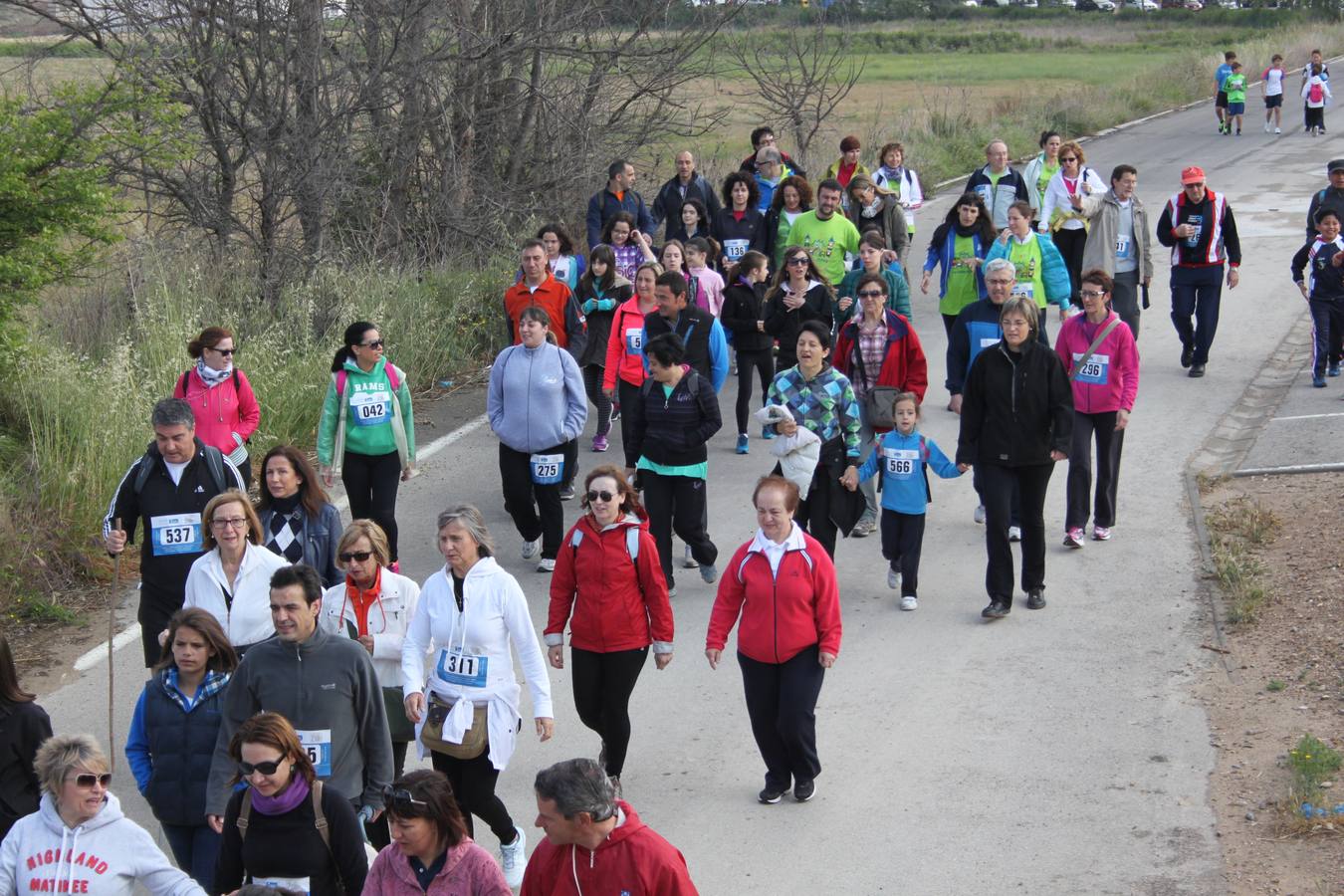 XXV Marcha Solidaria de Alfaro