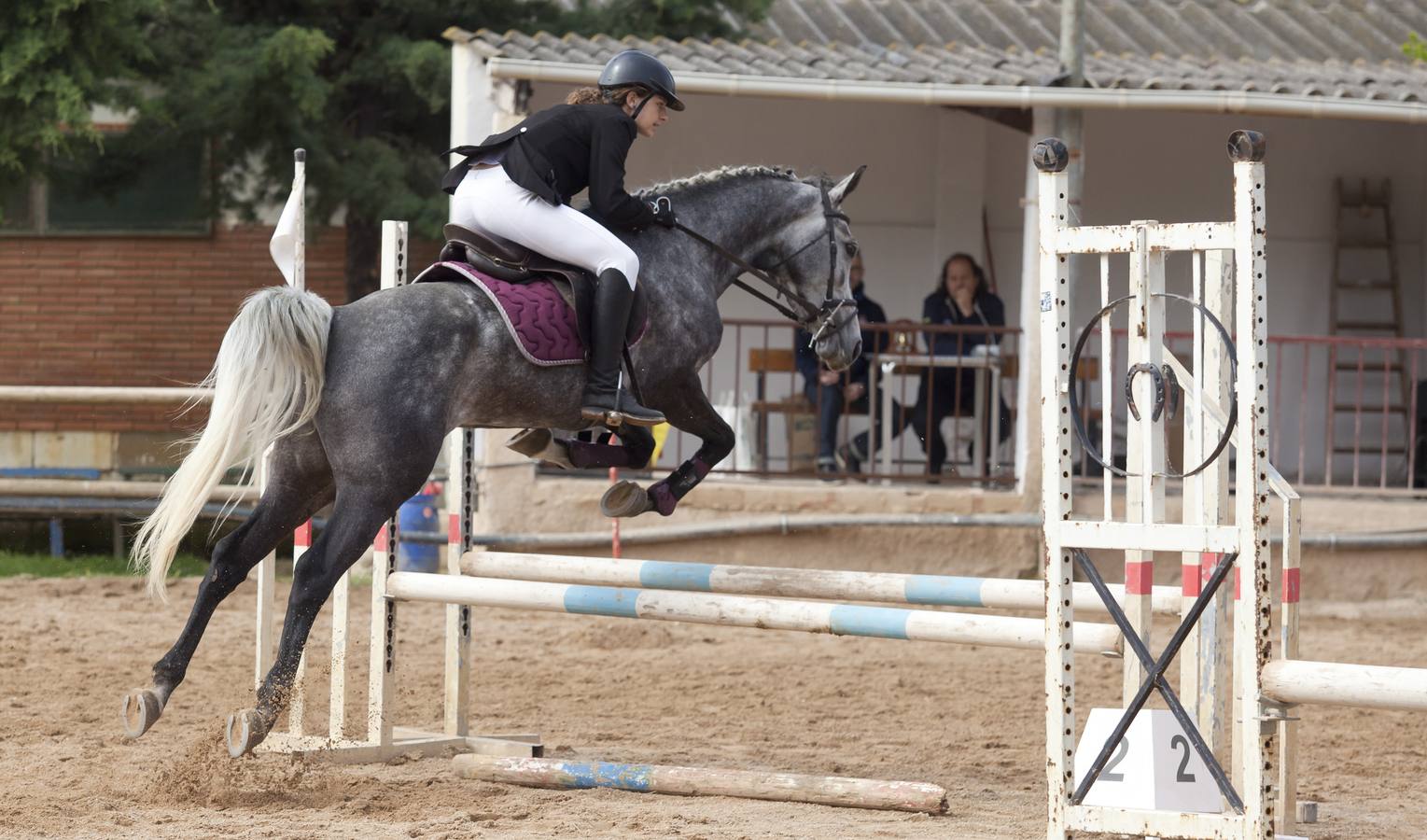 Salto a salto hacia el triunfo