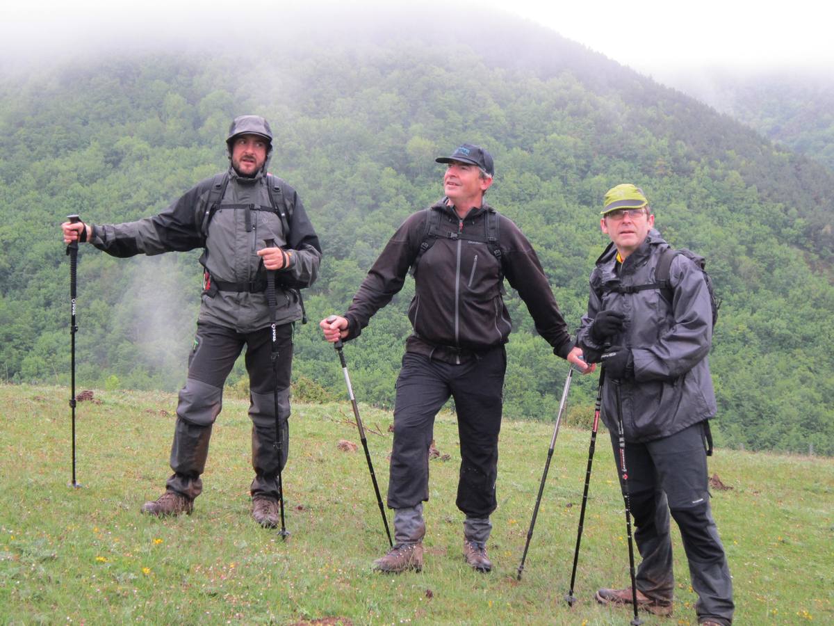 XV Marcha Senderista por los Montes de Anguiano