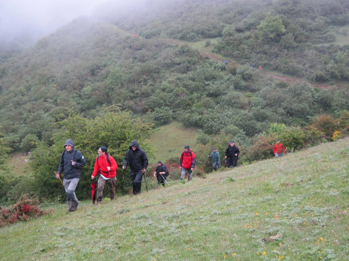 XV Marcha Senderista por los Montes de Anguiano